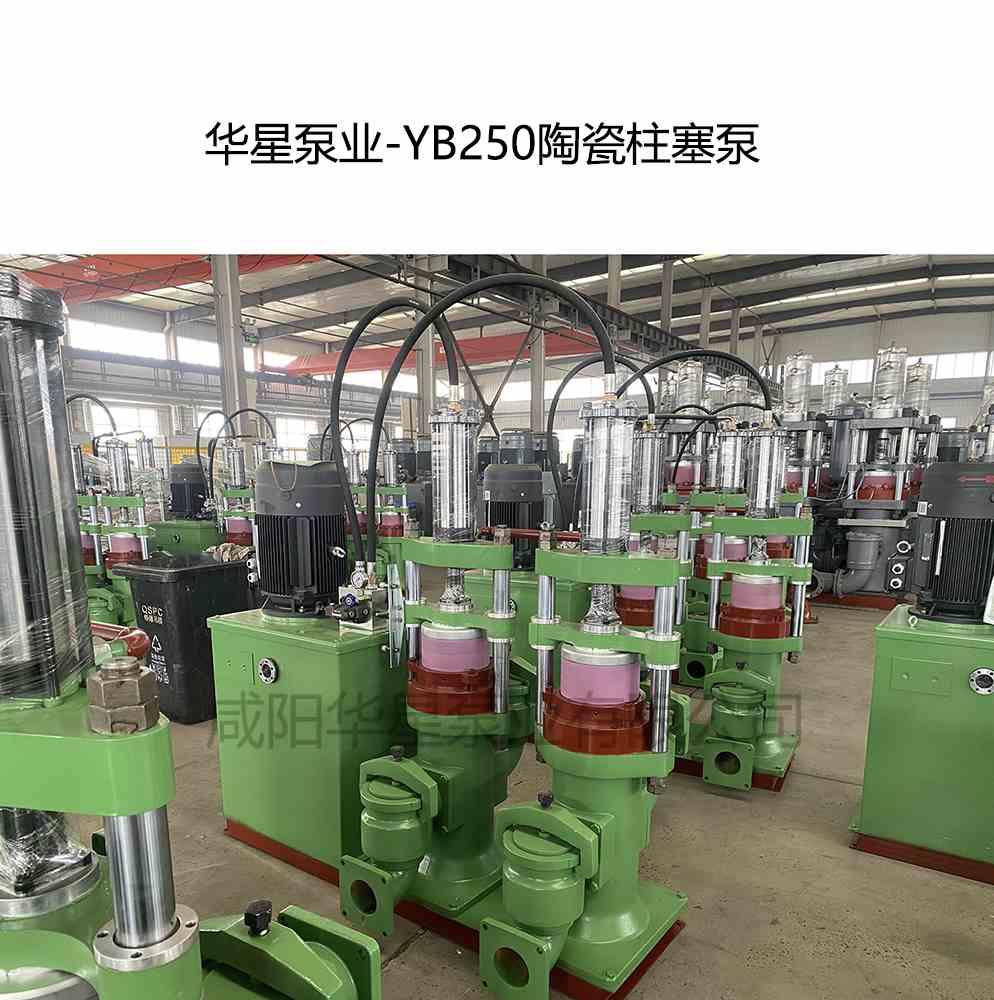 客戶給訂購一臺(tái)YB250陶瓷柱塞泵